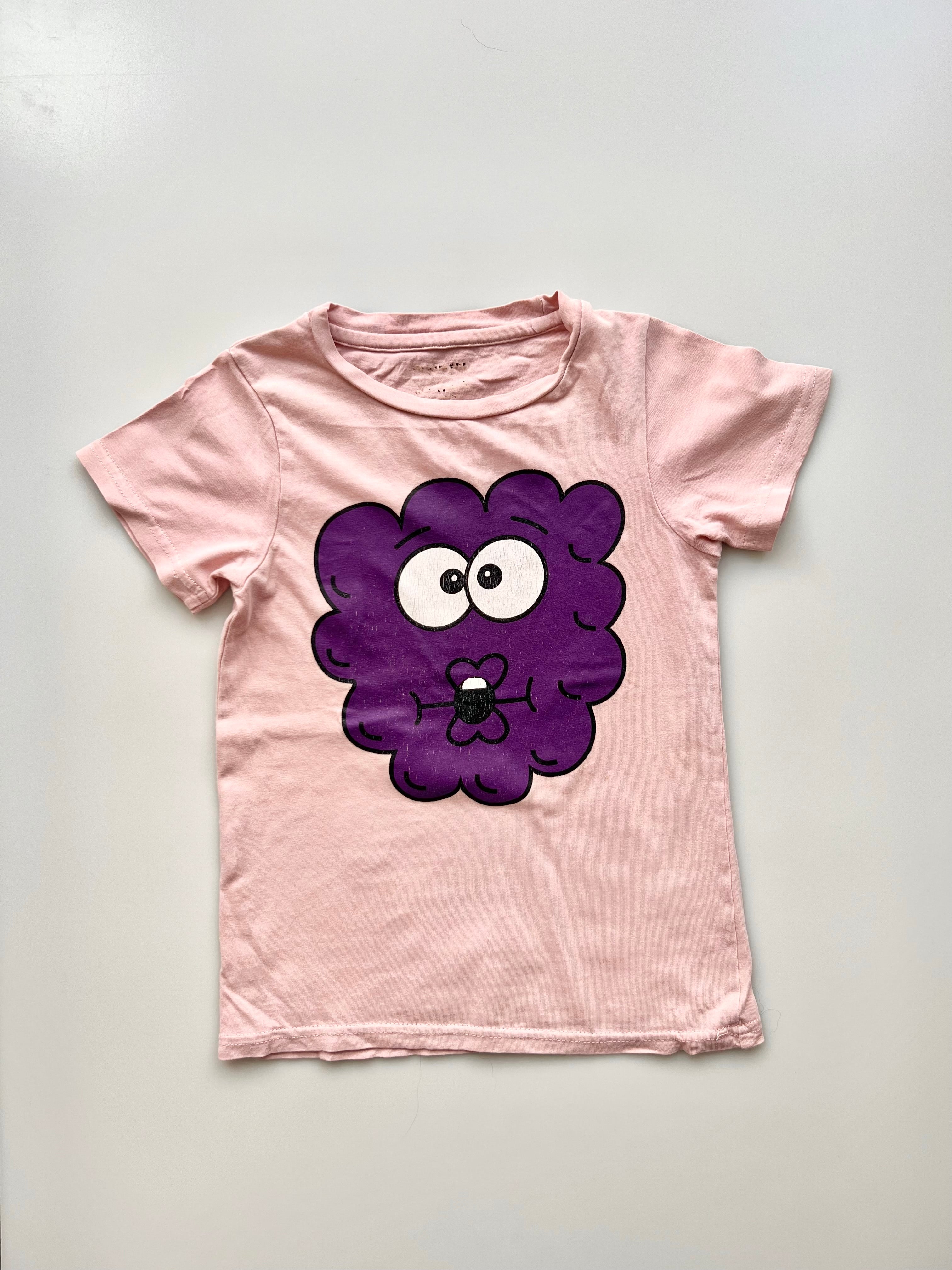 Raspberry T Shirt Age 5-7